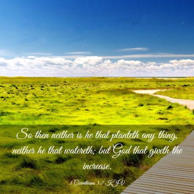 Picture 03 - 1 Corinthians 3:7 KJV - So then neither is he that planteth any thing, - Bible Verse Picture