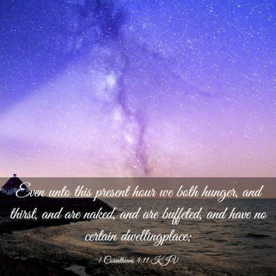 Picture 03 - 1 Corinthians 4:11 KJV - Even unto this present hour we both hunger, and - Bible Verse Picture