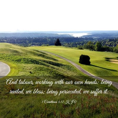 Picture 03 - 1 Corinthians 4:12 KJV - And labour, working with our own hands: being - Bible Verse Picture