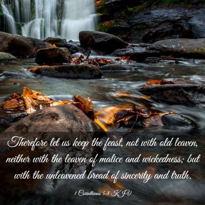Picture 03 - 1 Corinthians 5:8 KJV - Therefore let us keep the feast, not with old - Bible Verse Picture
