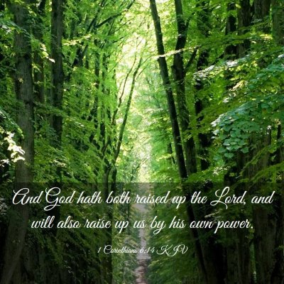 Picture 03 - 1 Corinthians 6:14 KJV - And God hath both raised up the Lord, and will - Bible Verse Picture