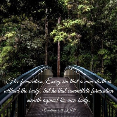 Picture 03 - 1 Corinthians 6:18 KJV - Flee fornication. Every sin that a man doeth is - Bible Verse Picture