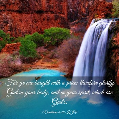 Picture 03 - 1 Corinthians 6:20 KJV - For ye are bought with a price: therefore glorify - Bible Verse Picture