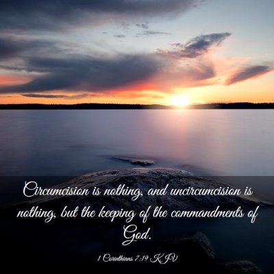 Picture 03 - 1 Corinthians 7:19 KJV - Circumcision is nothing, and uncircumcision is - Bible Verse Picture