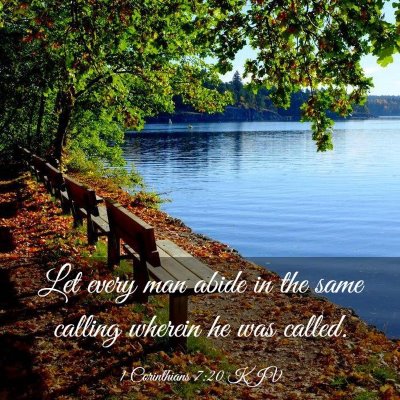 Picture 03 - 1 Corinthians 7:20 KJV - Let every man abide in the same calling wherein - Bible Verse Picture