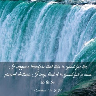 Picture 03 - 1 Corinthians 7:26 KJV - I suppose therefore that this is good for the - Bible Verse Picture