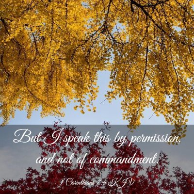 Picture 03 - 1 Corinthians 7:6 KJV - But I speak this by permission, and not of - Bible Verse Picture