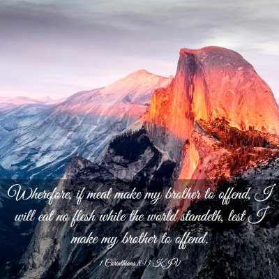 Picture 03 - 1 Corinthians 8:13 KJV - Wherefore, if meat make my brother to offend, I - Bible Verse Picture