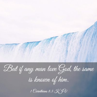 Picture 03 - 1 Corinthians 8:3 KJV - But if any man love God, the same is known of - Bible Verse Picture