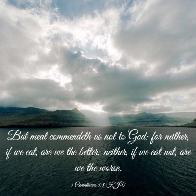 Picture 03 - 1 Corinthians 8:8 KJV - But meat commendeth us not to God: for neither, - Bible Verse Picture