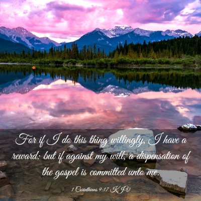 Picture 03 - 1 Corinthians 9:17 KJV - For if I do this thing willingly, I have a - Bible Verse Picture