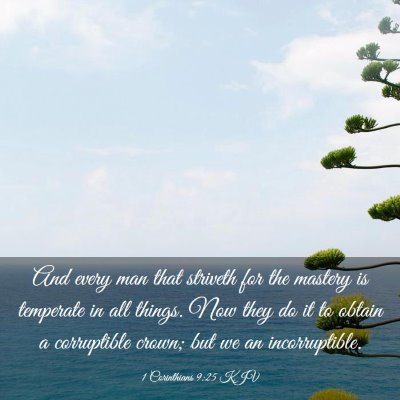Picture 03 - 1 Corinthians 9:25 KJV - And every man that striveth for the mastery is - Bible Verse Picture
