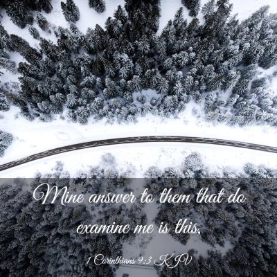 Picture 03 - 1 Corinthians 9:3 KJV - Mine answer to them that do examine me is - Bible Verse Picture
