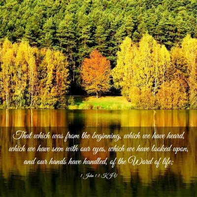 Picture 03 - 1 John 1:1 KJV - That which was from the beginning, which we have - Bible Verse Picture
