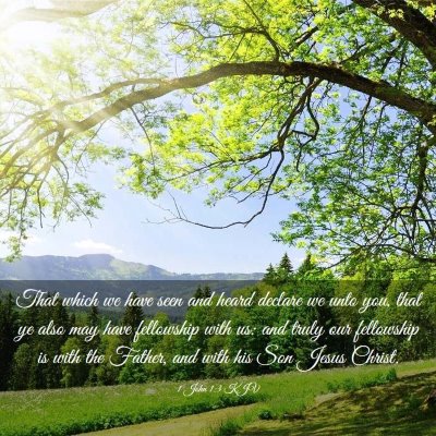 Picture 03 - 1 John 1:3 KJV - That which we have seen and heard declare we unto - Bible Verse Picture
