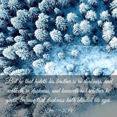 Picture 03 - 1 John 2:11 KJV - But he that hateth his brother is in darkness, - Bible Verse Picture