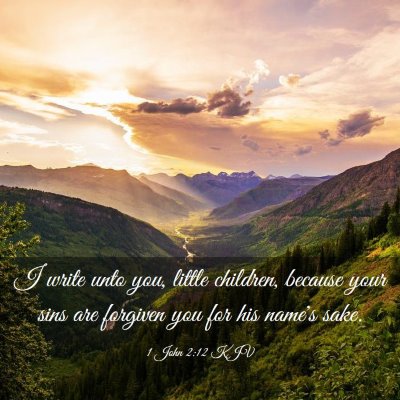 Picture 03 - 1 John 2:12 KJV - I write unto you, little children, because your - Bible Verse Picture