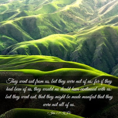 Picture 03 - 1 John 2:19 KJV - They went out from us, but they were not of us; - Bible Verse Picture