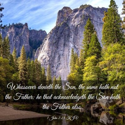 Picture 03 - 1 John 2:23 KJV - Whosoever denieth the Son, the same hath not the - Bible Verse Picture