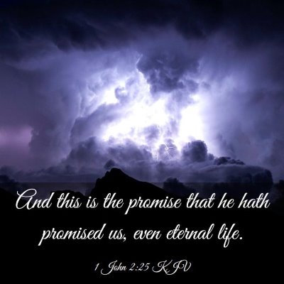 Picture 03 - 1 John 2:25 KJV - And this is the promise that he hath promised us, - Bible Verse Picture