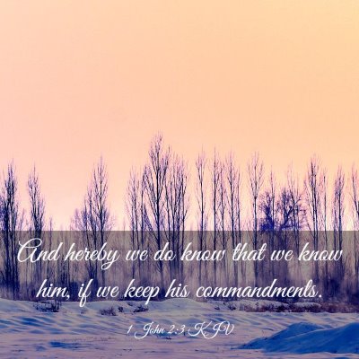 Picture 03 - 1 John 2:3 KJV - And hereby we do know that we know him, if we - Bible Verse Picture