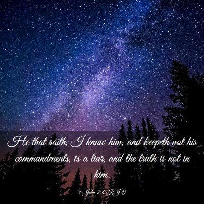 Picture 03 - 1 John 2:4 KJV - He that saith, I know him, and keepeth not his - Bible Verse Picture