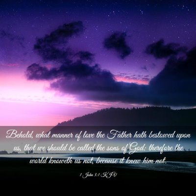Picture 03 - 1 John 3:1 KJV - Behold, what manner of love the Father hath - Bible Verse Picture