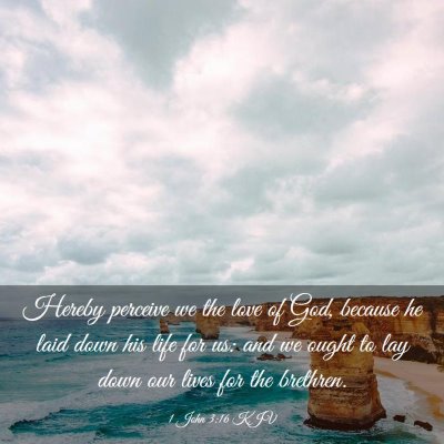 Picture 03 - 1 John 3:16 KJV - Hereby perceive we the love of God, because he - Bible Verse Picture