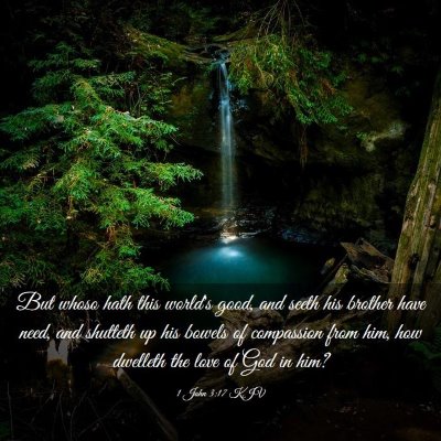 Picture 03 - 1 John 3:17 KJV - But whoso hath this world's good, and seeth his - Bible Verse Picture