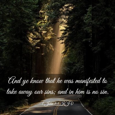Picture 03 - 1 John 3:5 KJV - And ye know that he was manifested to take away - Bible Verse Picture