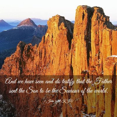 Picture 03 - 1 John 4:14 KJV - And we have seen and do testify that the Father - Bible Verse Picture