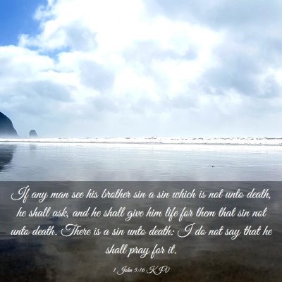 Picture 03 - 1 John 5:16 KJV - If any man see his brother sin a sin which is not - Bible Verse Picture