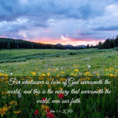 Picture 03 - 1 John 5:4 KJV - For whatsoever is born of God overcometh the - Bible Verse Picture