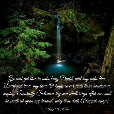 Picture 03 - 1 Kings 1:13 KJV - Go and get thee in unto king David, and say unto - Bible Verse Picture