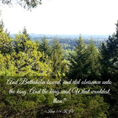 Picture 03 - 1 Kings 1:16 KJV - And Bathsheba bowed, and did obeisance unto the - Bible Verse Picture