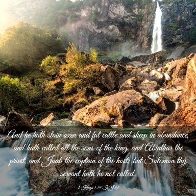 Picture 03 - 1 Kings 1:19 KJV - And he hath slain oxen and fat cattle and sheep - Bible Verse Picture