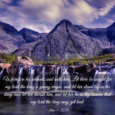 Picture 03 - 1 Kings 1:2 KJV - Wherefore his servants said unto him, Let there - Bible Verse Picture