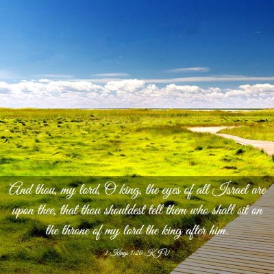 Picture 03 - 1 Kings 1:20 KJV - And thou, my lord, O king, the eyes of all Israel - Bible Verse Picture