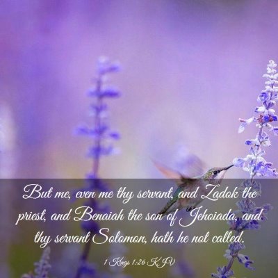 Picture 03 - 1 Kings 1:26 KJV - But me, even me thy servant, and Zadok the - Bible Verse Picture