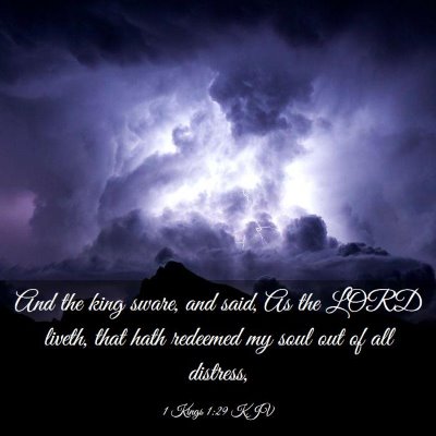 Picture 03 - 1 Kings 1:29 KJV - And the king sware, and said, As the LORD liveth, - Bible Verse Picture