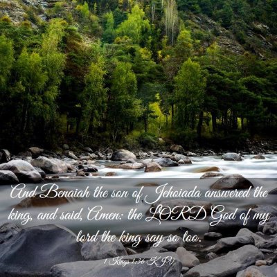 Picture 03 - 1 Kings 1:36 KJV - And Benaiah the son of Jehoiada answered the - Bible Verse Picture