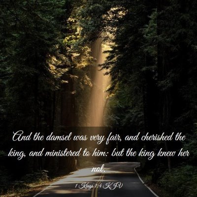 Picture 03 - 1 Kings 1:4 KJV - And the damsel was very fair, and cherished the - Bible Verse Picture