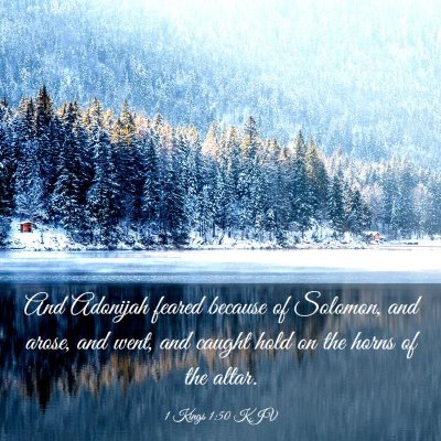 Picture 03 - 1 Kings 1:50 KJV - And Adonijah feared because of Solomon, and - Bible Verse Picture