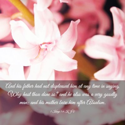 Picture 03 - 1 Kings 1:6 KJV - And his father had not displeased him at any time - Bible Verse Picture