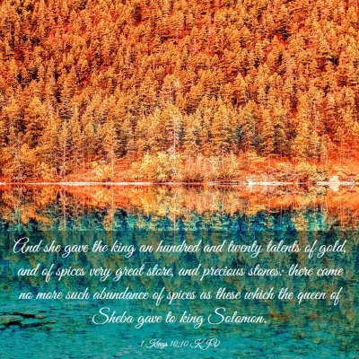 Picture 03 - 1 Kings 10:10 KJV - And she gave the king an hundred and twenty - Bible Verse Picture