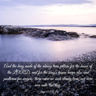 Picture 03 - 1 Kings 10:12 KJV - And the king made of the almug trees pillars for - Bible Verse Picture