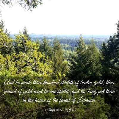 Picture 03 - 1 Kings 10:17 KJV - And he made three hundred shields of beaten gold; - Bible Verse Picture