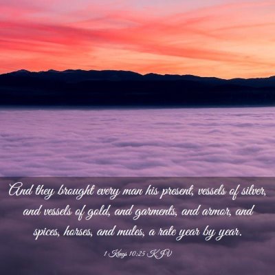Picture 03 - 1 Kings 10:25 KJV - And they brought every man his present, vessels - Bible Verse Picture