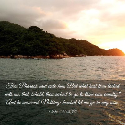 Picture 03 - 1 Kings 11:22 KJV - Then Pharaoh said unto him, But what hast thou - Bible Verse Picture