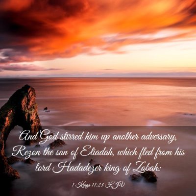 Picture 03 - 1 Kings 11:23 KJV - And God stirred him up another adversary, Rezon - Bible Verse Picture